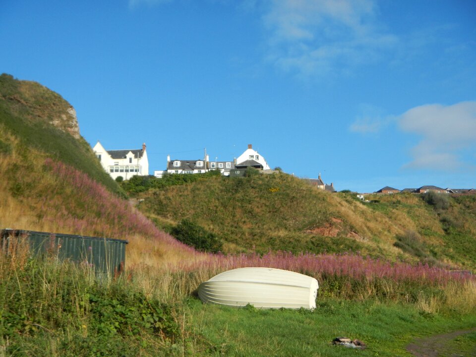 Coast meadow hill