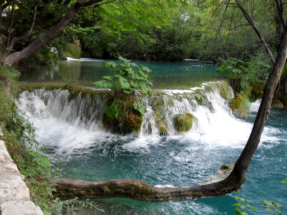 Nature lake croatia photo