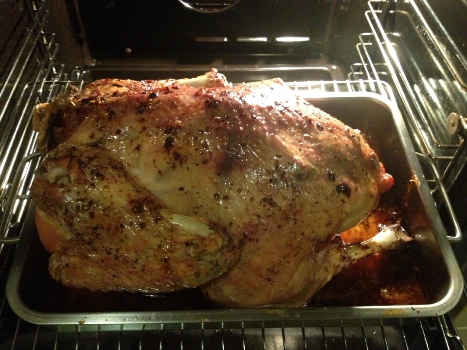 Oven power supply food