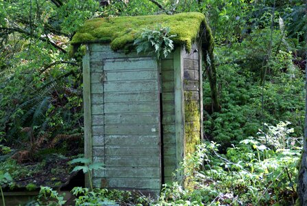 Toilet woods moss