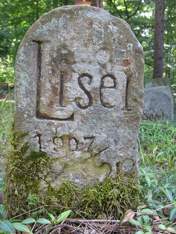 Graves rest forest