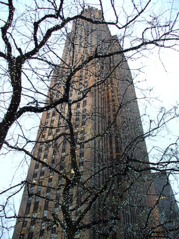 Winter manhattan edificio