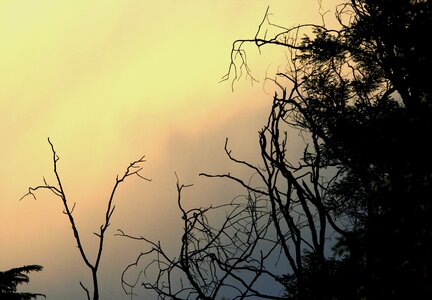 Yellow grey glow