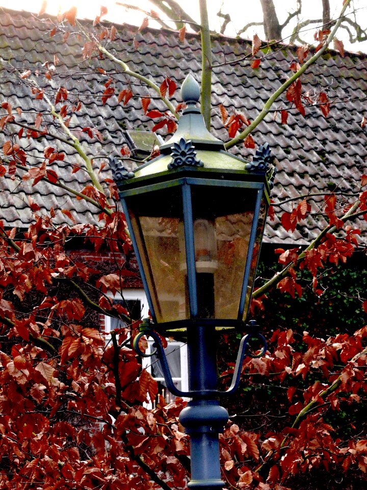 Historic street lighting street lamp old