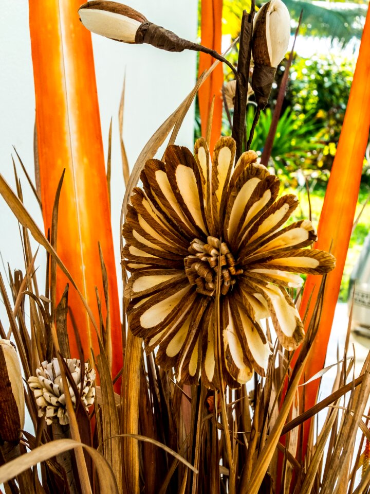 Dried flowers bouquet grasses