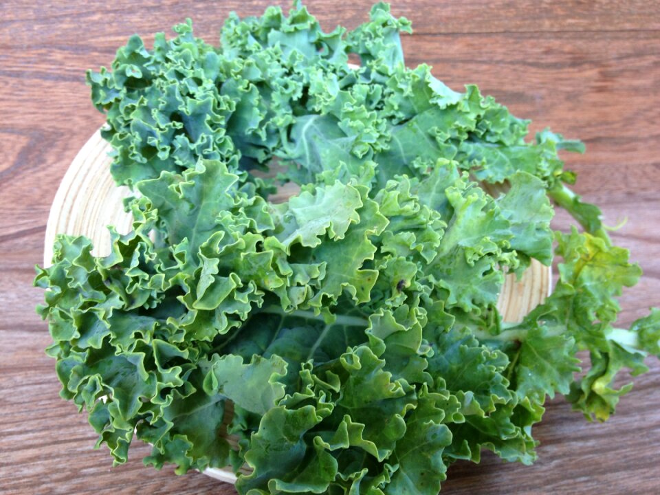 Curly kale plant produce