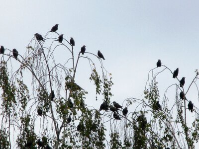 Meeting point wait landscape