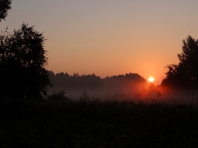 The sun the fog meadow