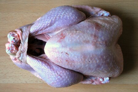 Poultry christmas turkey power supply