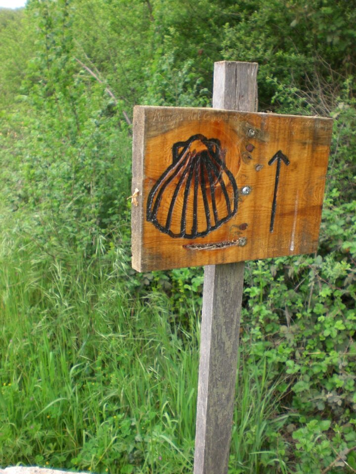 Direction camino de santiago characters