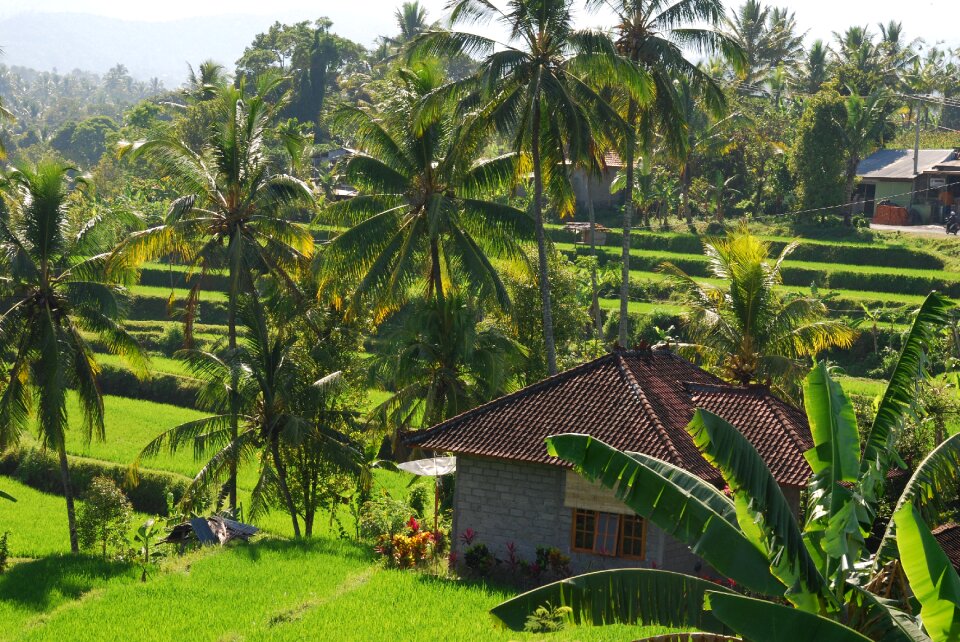Nature hut landscape