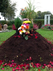 Roses death cemetery photo