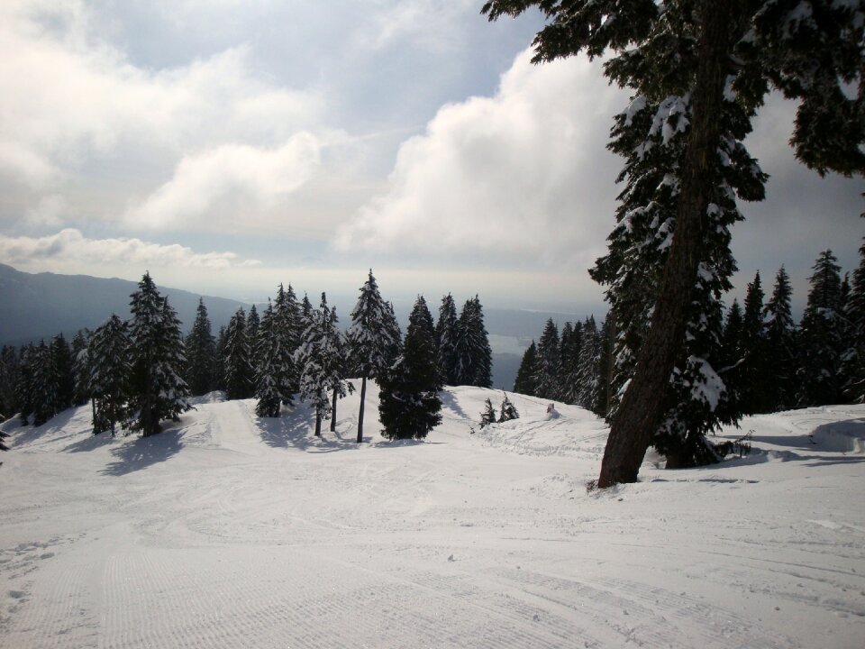 Winter winter sports nature