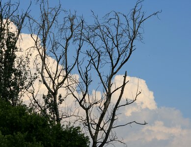 Stark sky blue photo