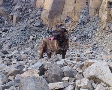 Stones profile cute
