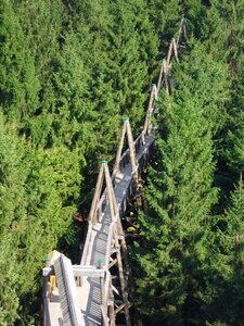Upper austria sauwald austria