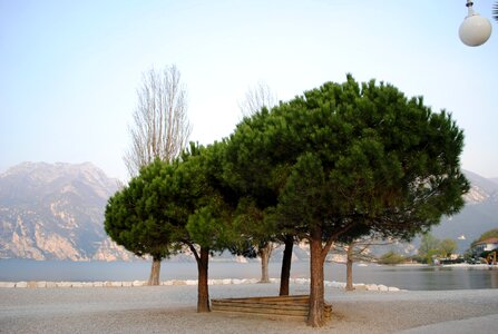 Bank lago di garda italy photo