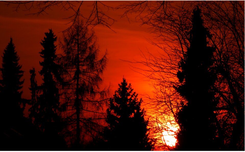 Sun evening sky abendstimmung