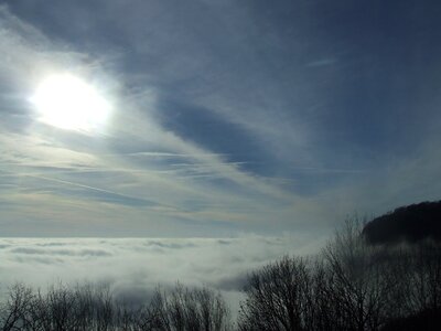 Beech hg fog nature photo