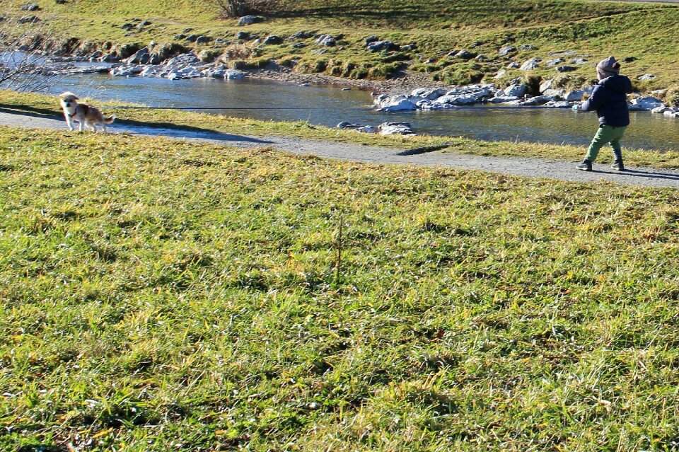 Go walkies meadow go