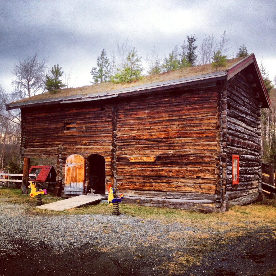 Wooden norway nature