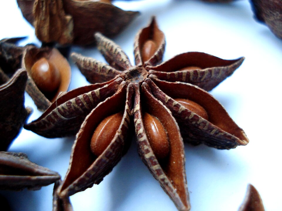 Badiyane star anise chinese star anise