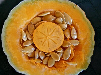 Seed vegetable nature