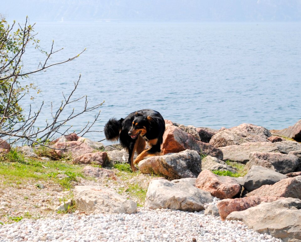 Bad day italy lago di garda