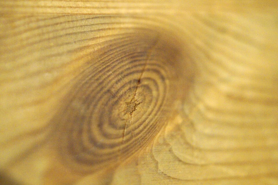 Texture knothole brown