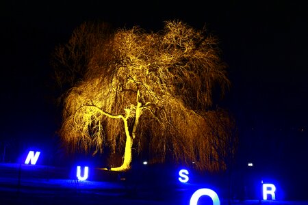 Westphalia park winter lights 2013 night photograph