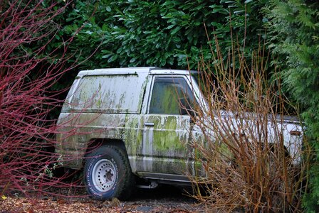 Car shrubs expired