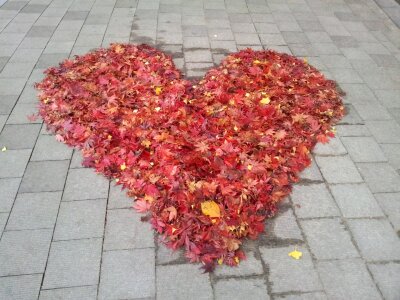 Leaves trail this star