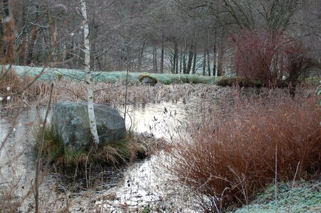Nature water plan winter