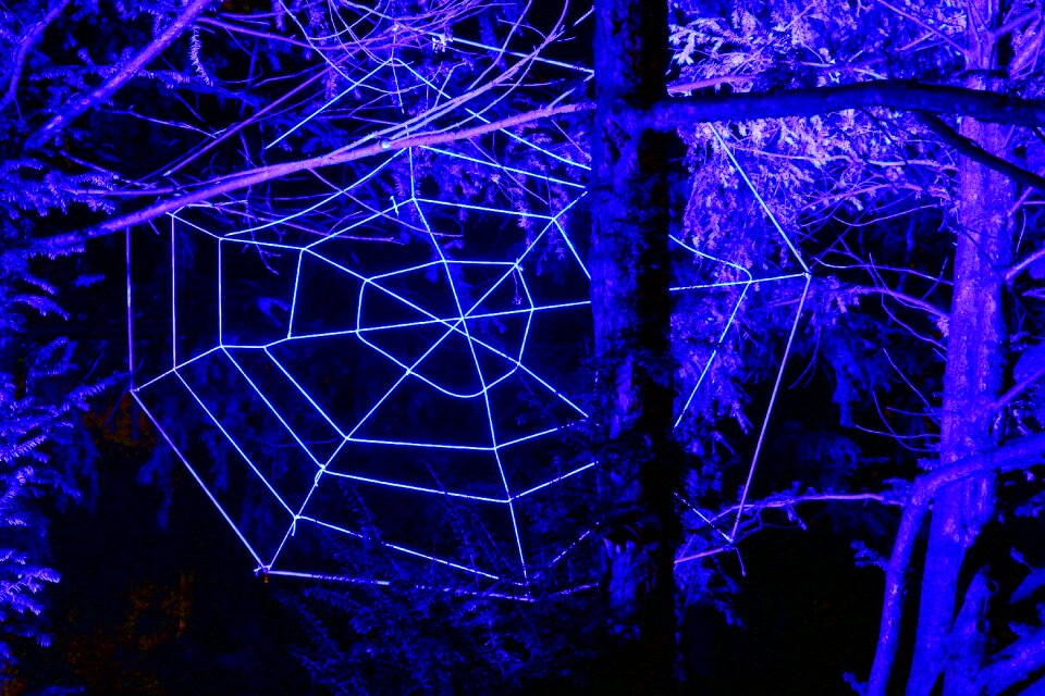 Westphalia park winter lights 2013 night photograph