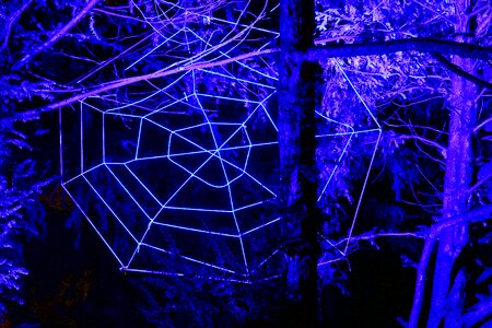 Westphalia park winter lights 2013 night photograph