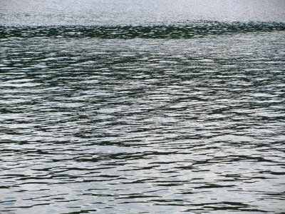 Lake brno prigl
