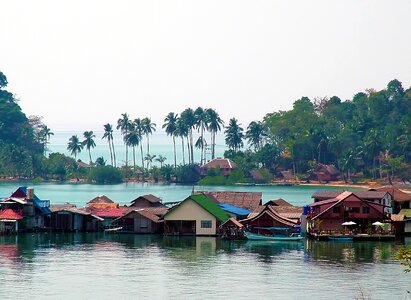 Beach water trees
