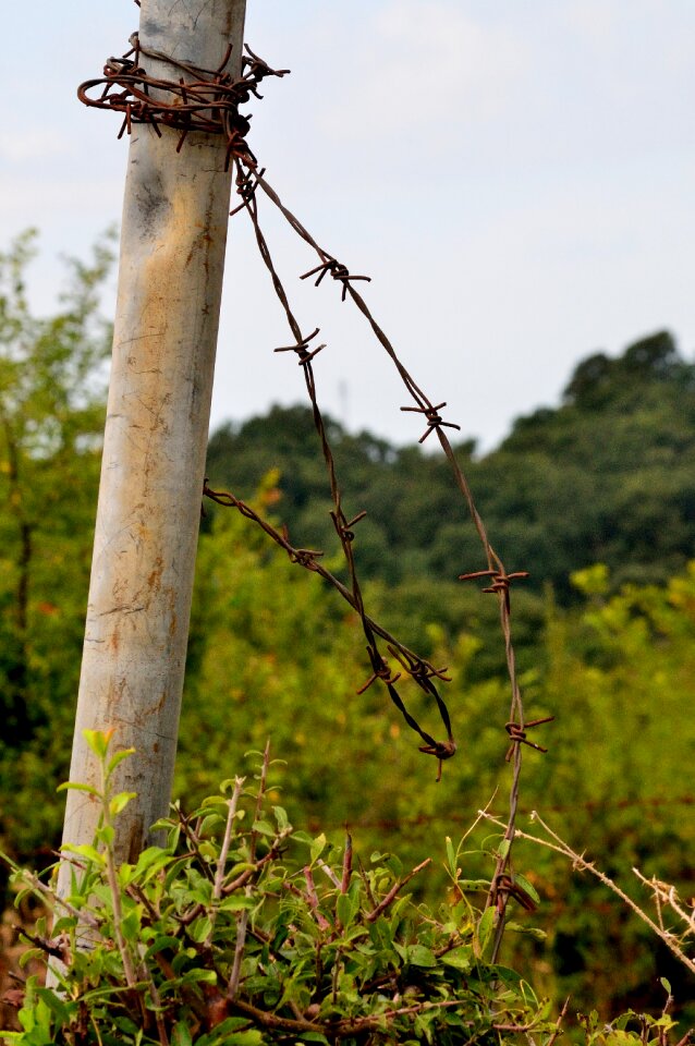 Nature palo closure