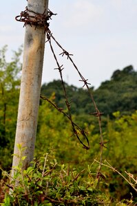 Nature palo closure