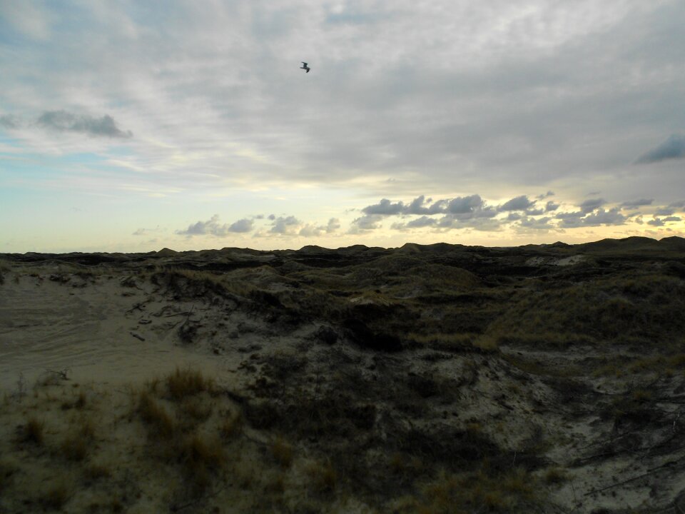 Island amrum north sea