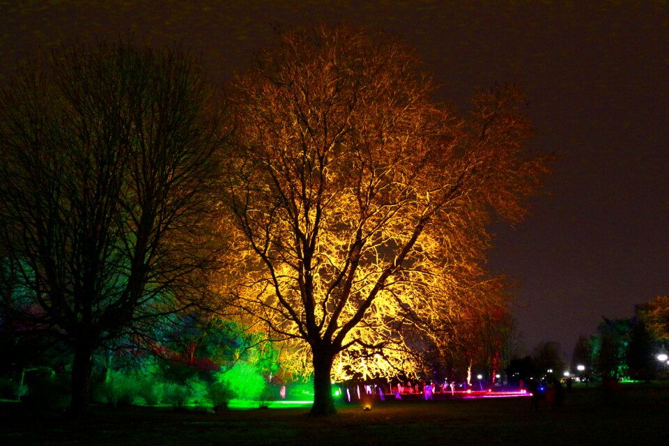 Westphalia park winter lights night shot 2013