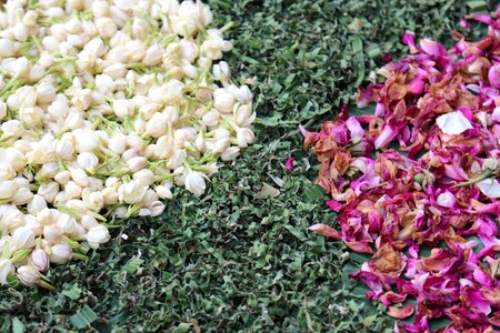Flower design pattern