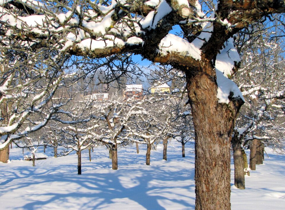 Winter snow landscape