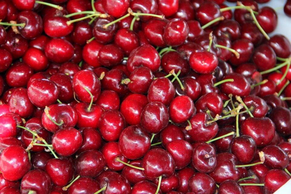 Cherries fruits spring photo