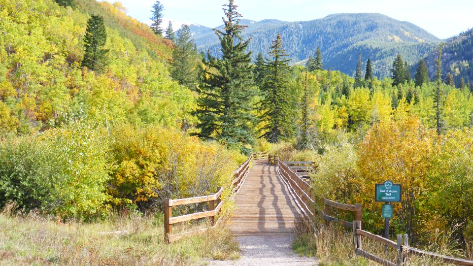 Bridge wooden hiking photo