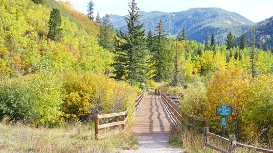 Bridge wooden hiking