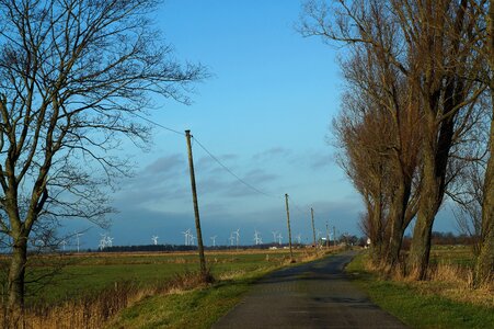 Away trees lonely