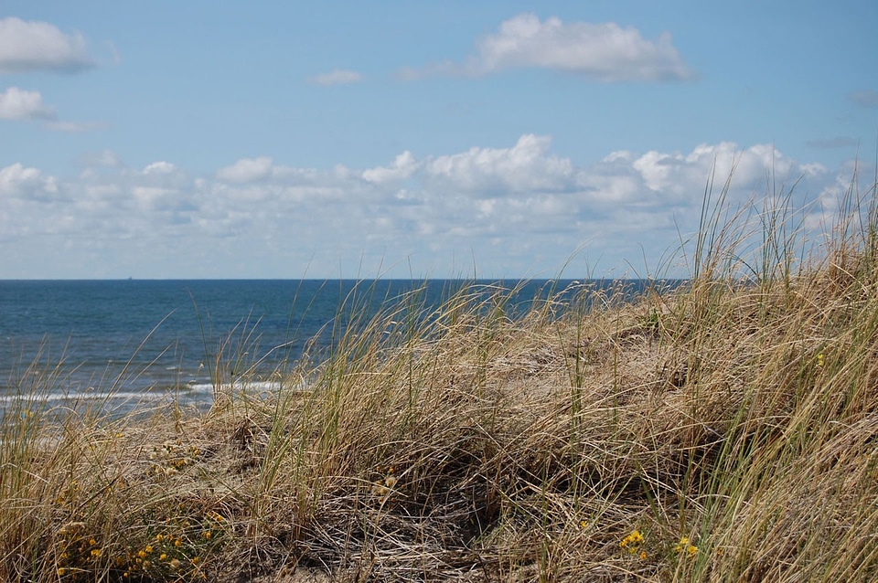 Shore coastline seaside