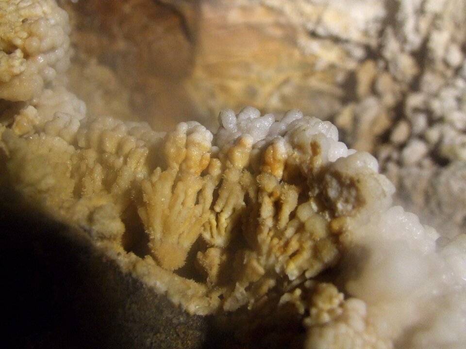 Cave rákóczi bg aggtelek hg
