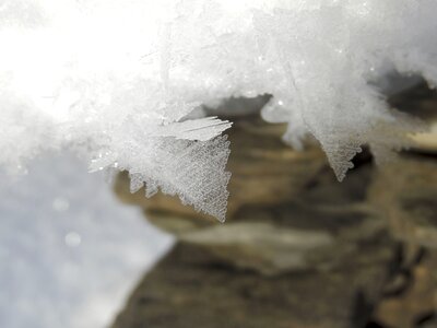 Winter frost crystal formation photo